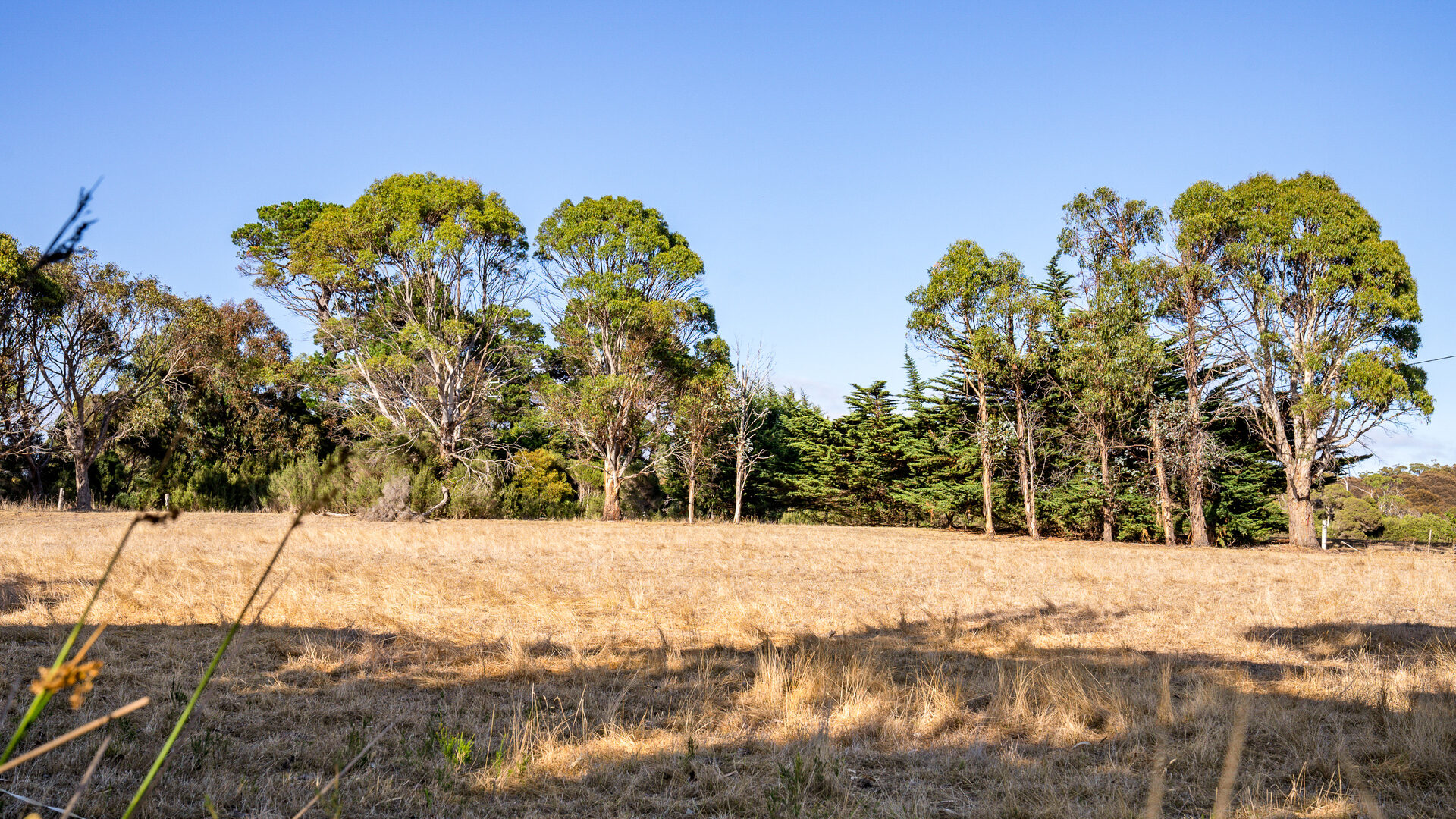 Sold - 121 Bevic Road - New Property in Clarence Point - Real Estate by Josh Hart