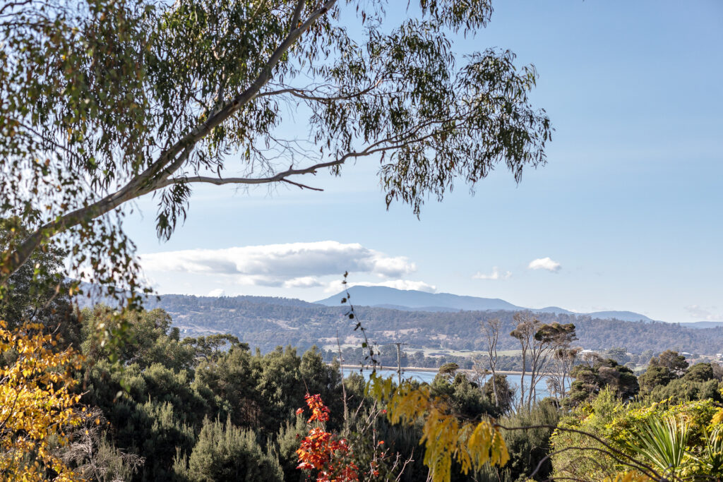 354 Gravelly Beach Road, Gravelly Beach TAS 7276 - photo 4