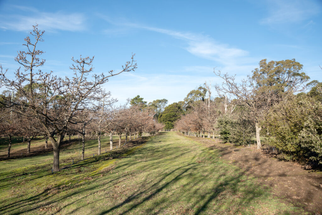 14 West Bay Road, Rowella TAS 7270 - photo 17