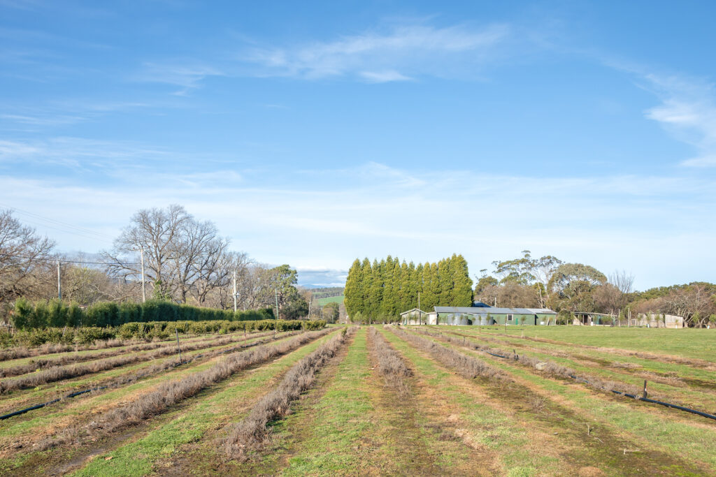 14 West Bay Road, Rowella TAS 7270 - photo 18