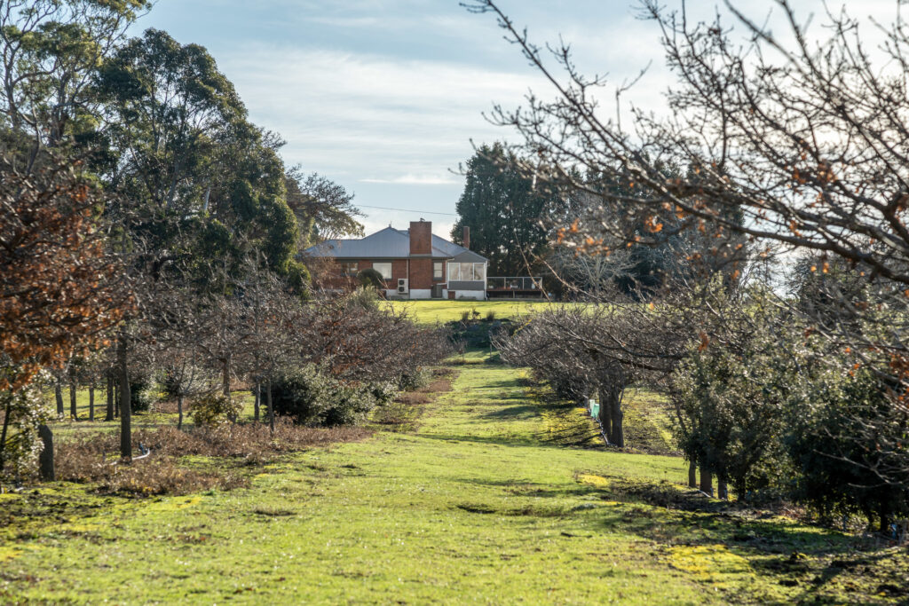 14 West Bay Road, Rowella TAS 7270 - photo 19