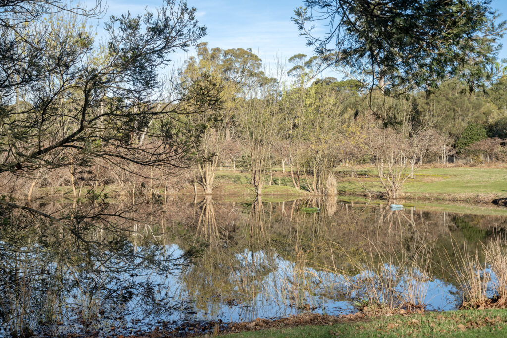 14 West Bay Road, Rowella TAS 7270 - photo 20