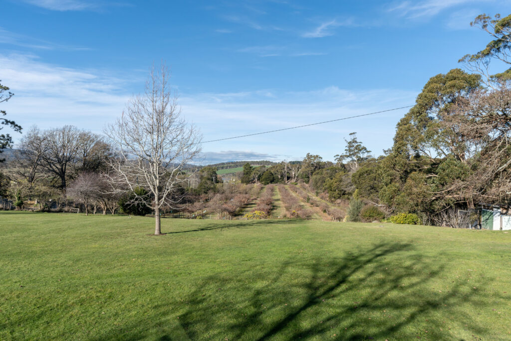 14 West Bay Road, Rowella TAS 7270 - photo 10