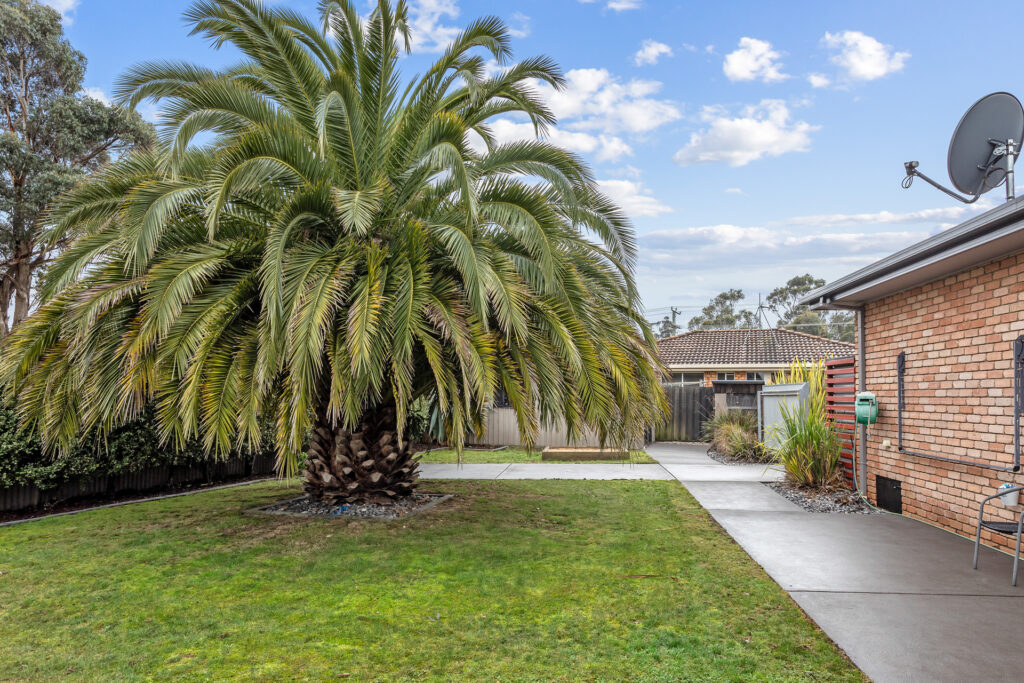 Sold - 26 Willow Lane - New Property in Prospect Vale - Real Estate by Tiffany Henricks