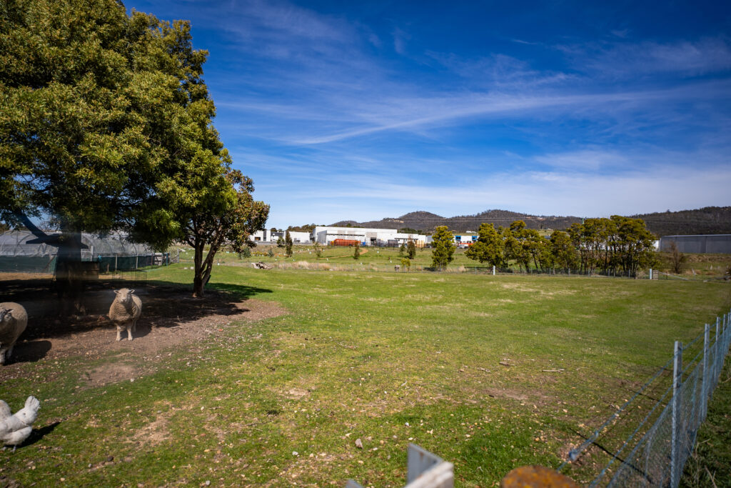Sold - 54 Backhouse Lane - New Property in Cambridge - Real Estate by Kim Symmons