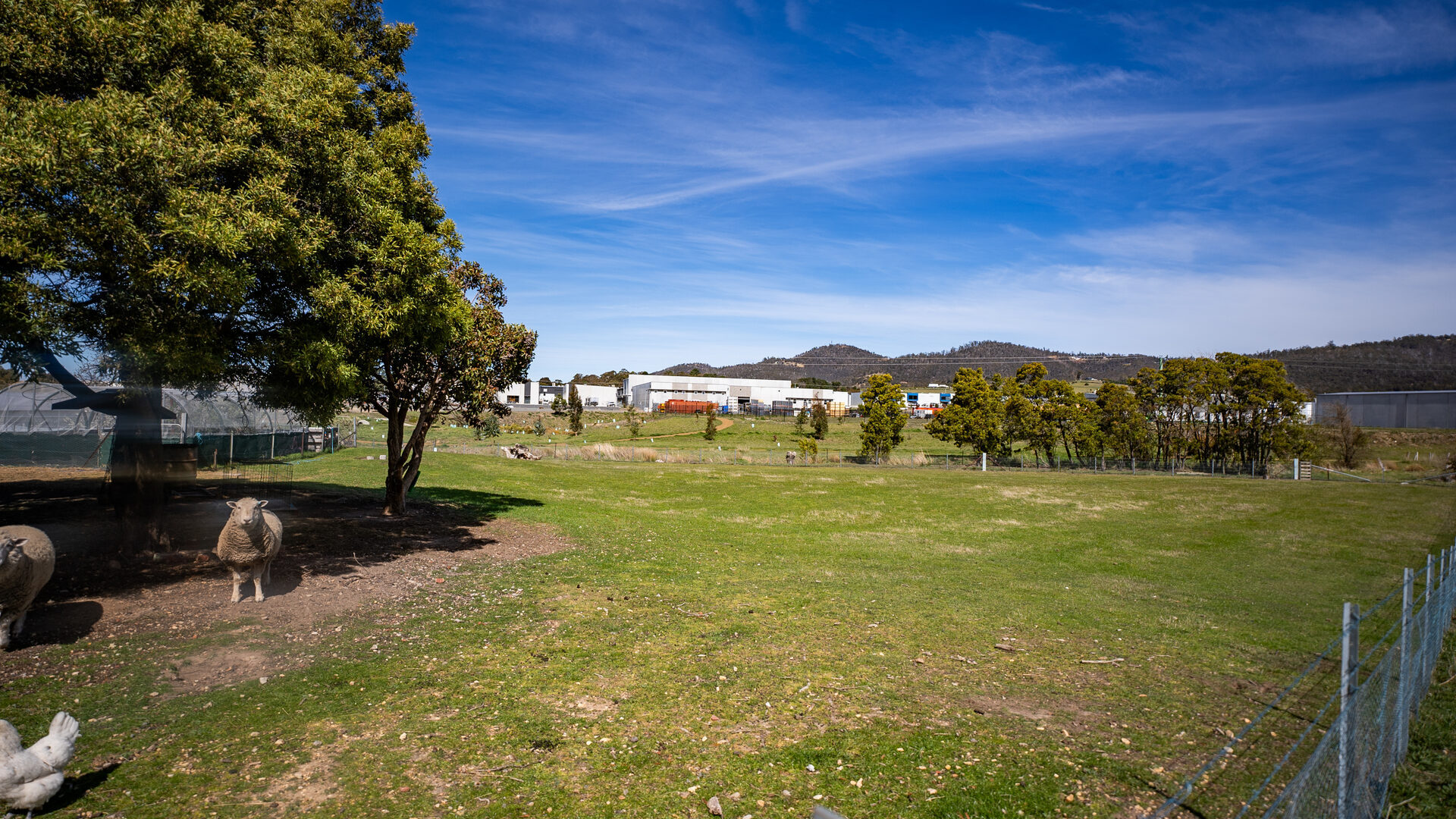 Sold - 54 Backhouse Lane - New Property in Cambridge - Real Estate by Kim Symmons