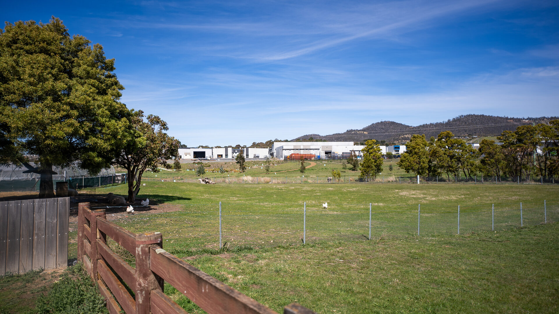 Sold - 54 Backhouse Lane - New Property in Cambridge - Real Estate by Kim Symmons