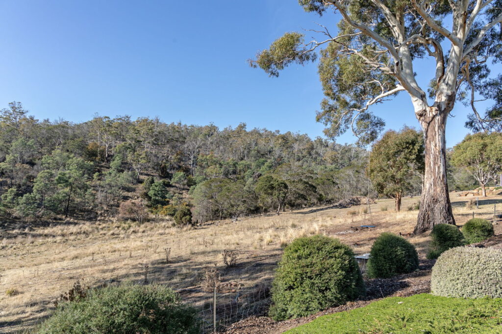 Sold - 13 Whisky Road - New Property in St Leonards - Real Estate by Josh Hart