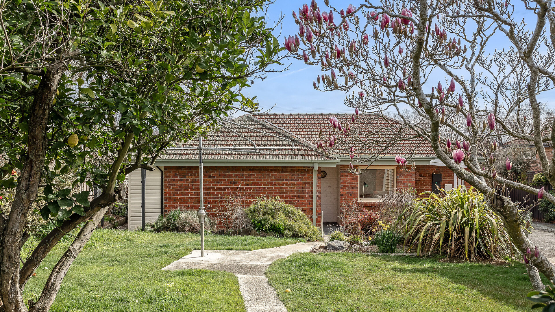 Sold - 4 Longwood Avenue - New Property in Newstead - Real Estate by Lee Christmas