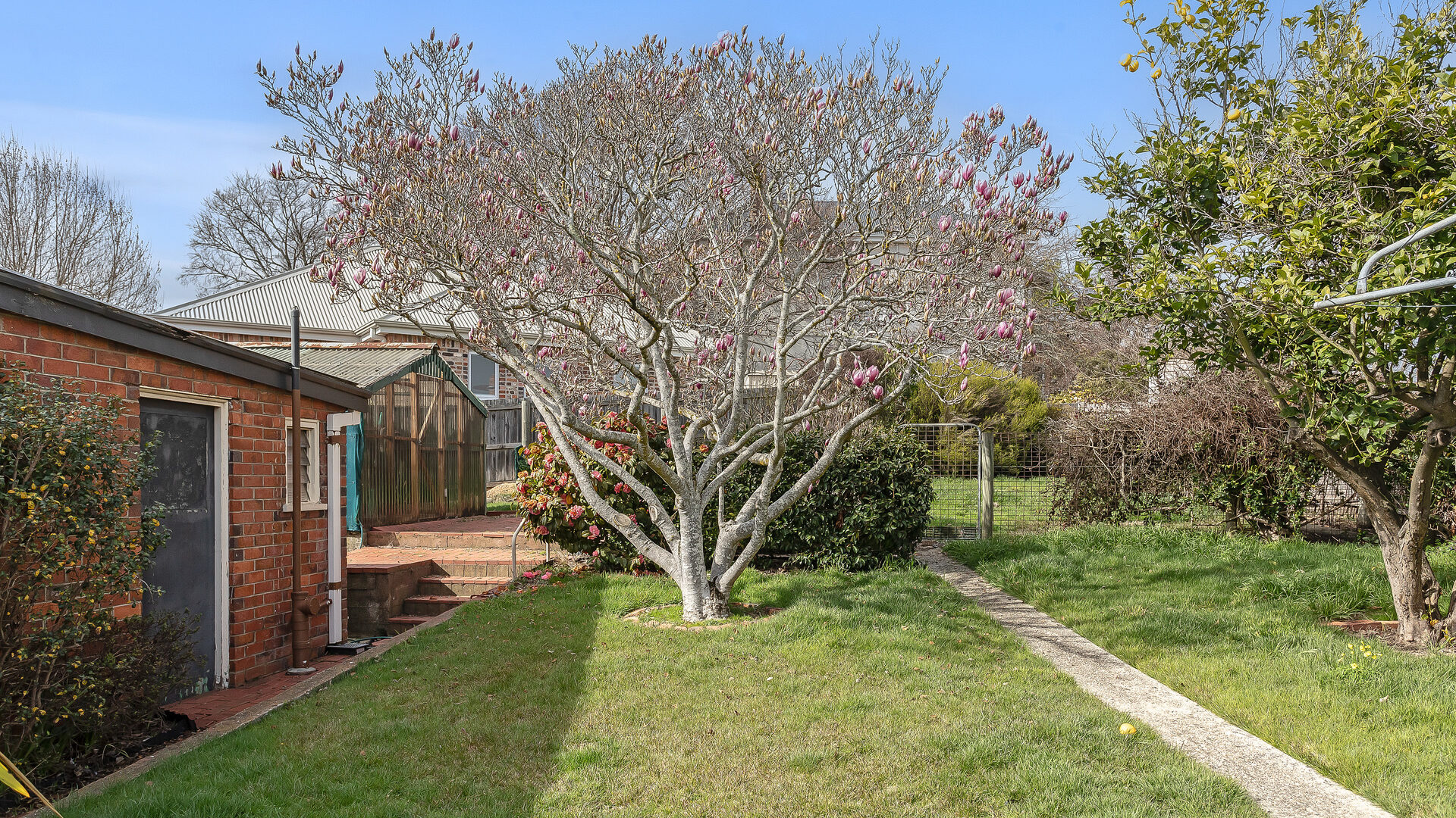 Sold - 4 Longwood Avenue - New Property in Newstead - Real Estate by Lee Christmas