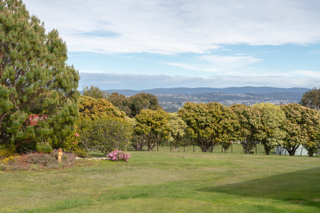 Sold - 105 Abels Hill Road - New Property in St Leonards - Real Estate by Lee Christmas