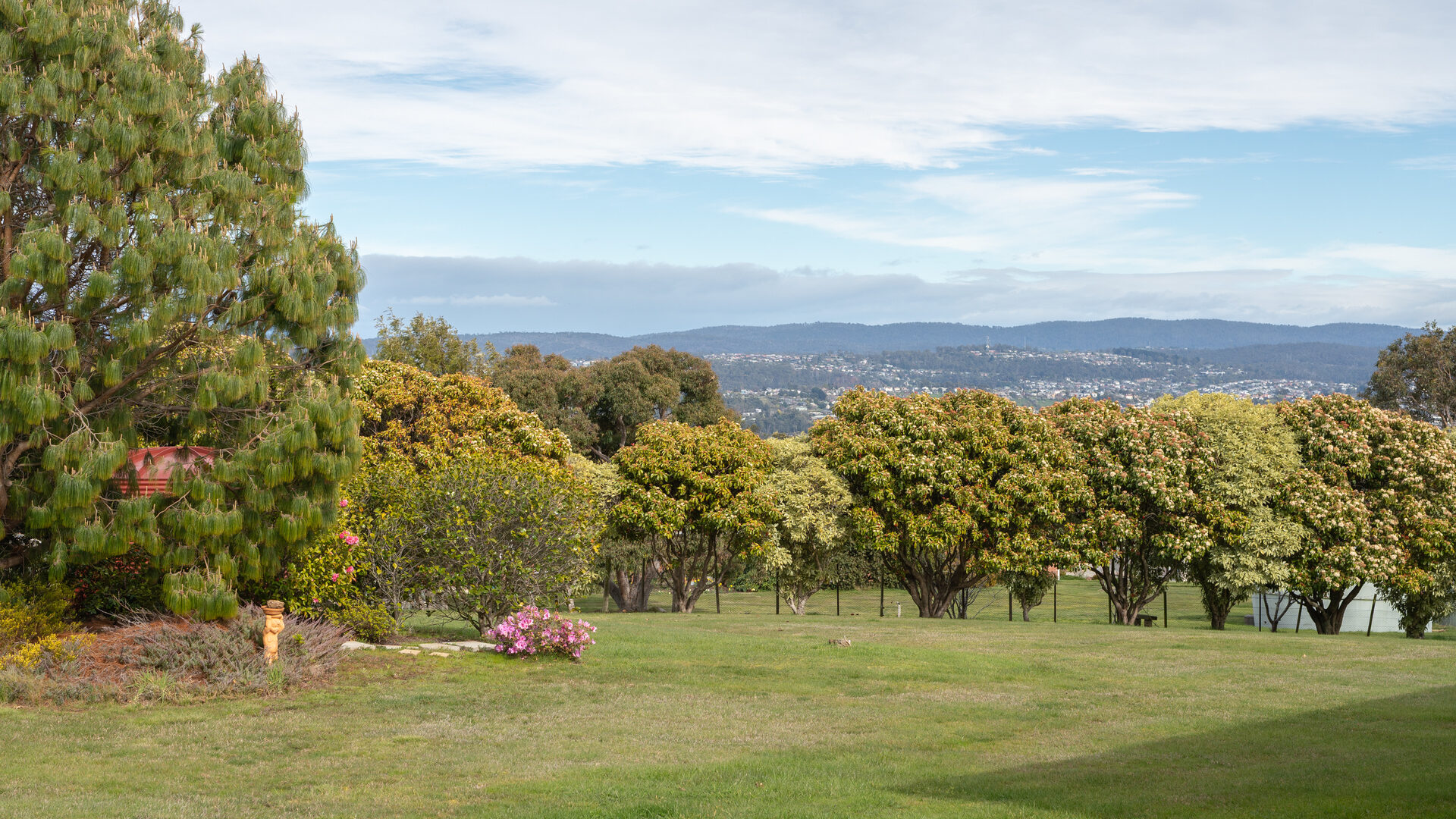 Sold - 105 Abels Hill Road - New Property in St Leonards - Real Estate by Lee Christmas