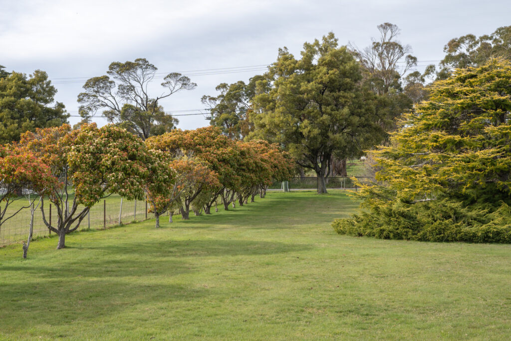 Sold - 105 Abels Hill Road - New Property in St Leonards - Real Estate by Lee Christmas