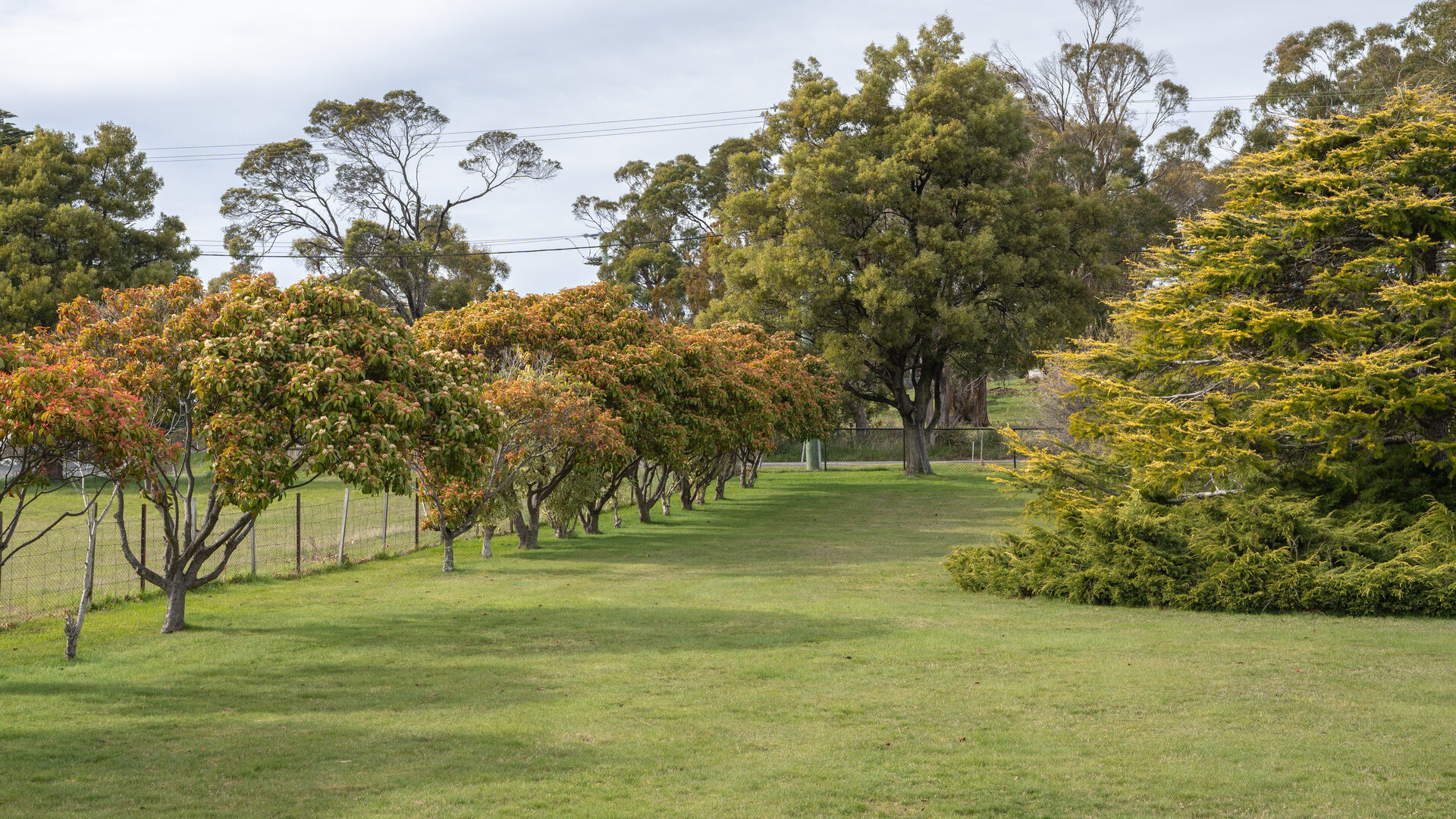 Sold - 105 Abels Hill Road - New Property in St Leonards - Real Estate by Lee Christmas