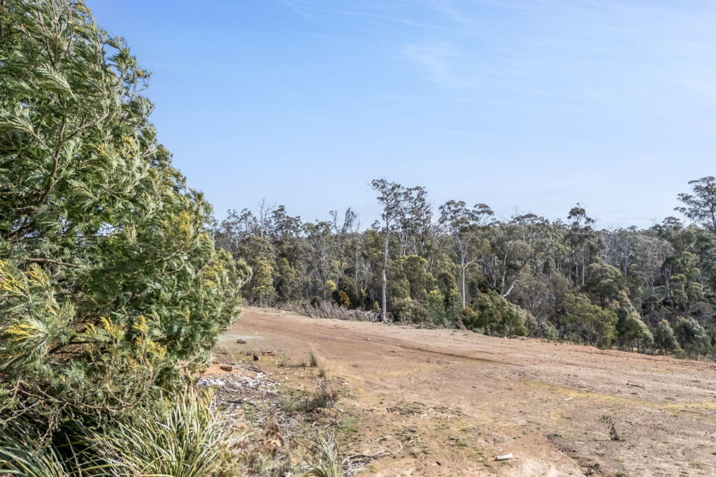 Sold - Lot 122 Sofoula Court - New Property in Legana - Real Estate by Josh Hart
