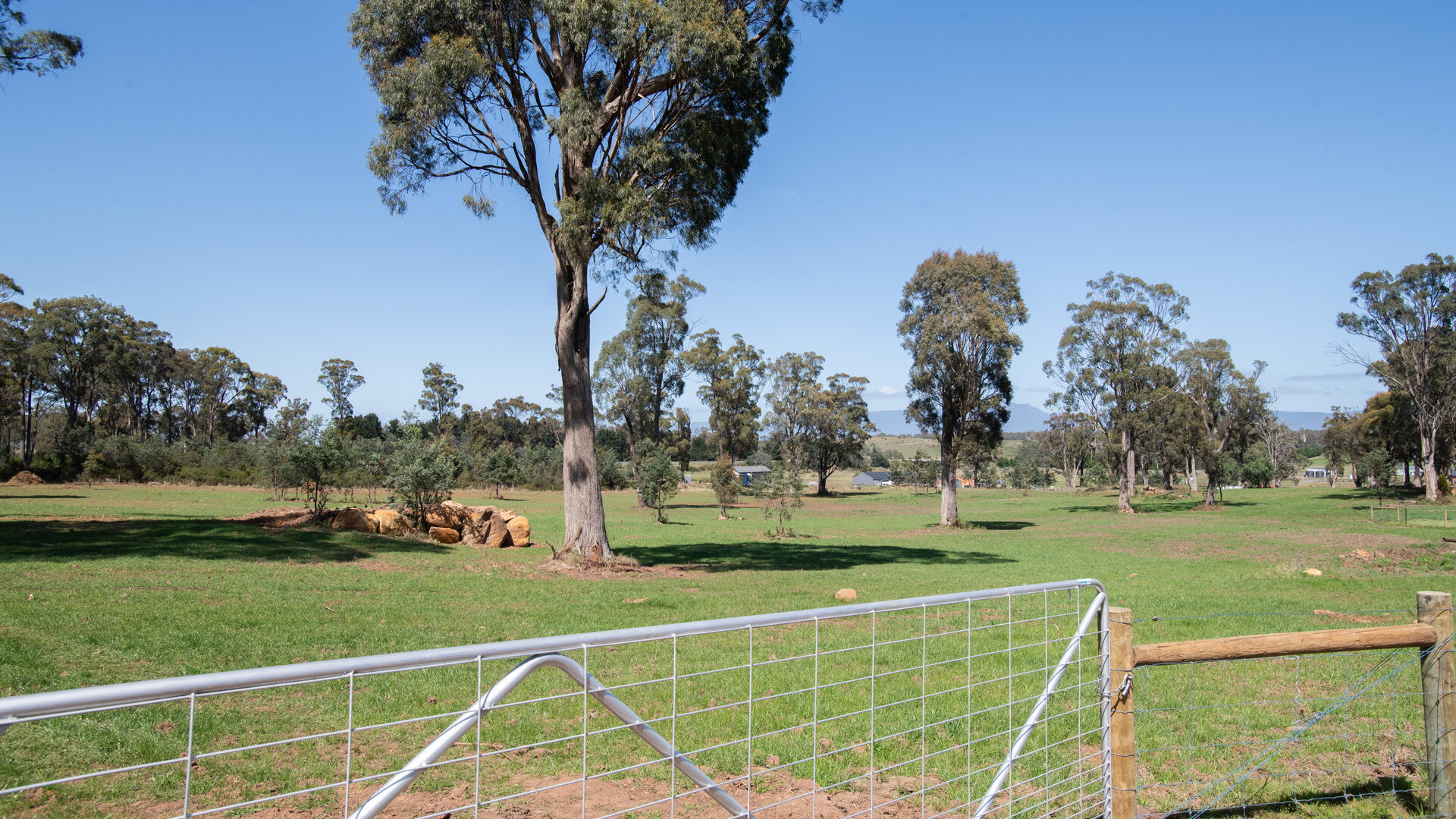 Sold - 8 Charlies Lane - New Property in Carrick - Real Estate by Josh Hart