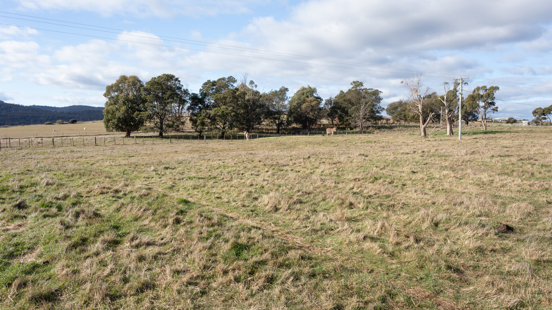 Sold - 496 Los Angelos Road - New Property in Swan Bay - Real Estate by Josh Hart