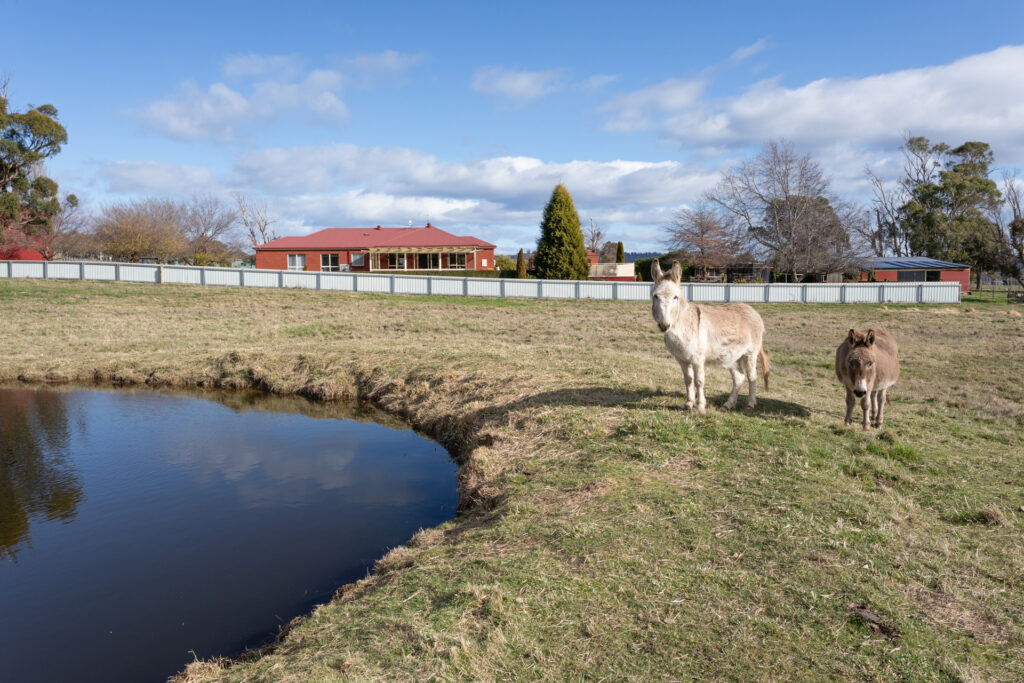 Sold - 496 Los Angelos Road - New Property in Swan Bay - Real Estate by Josh Hart