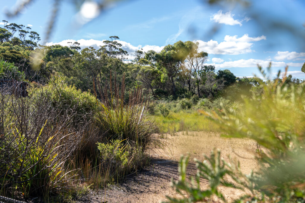 Sold - 3/1 Vince Lane - New Property in Binalong Bay - Real Estate by Josh Hart