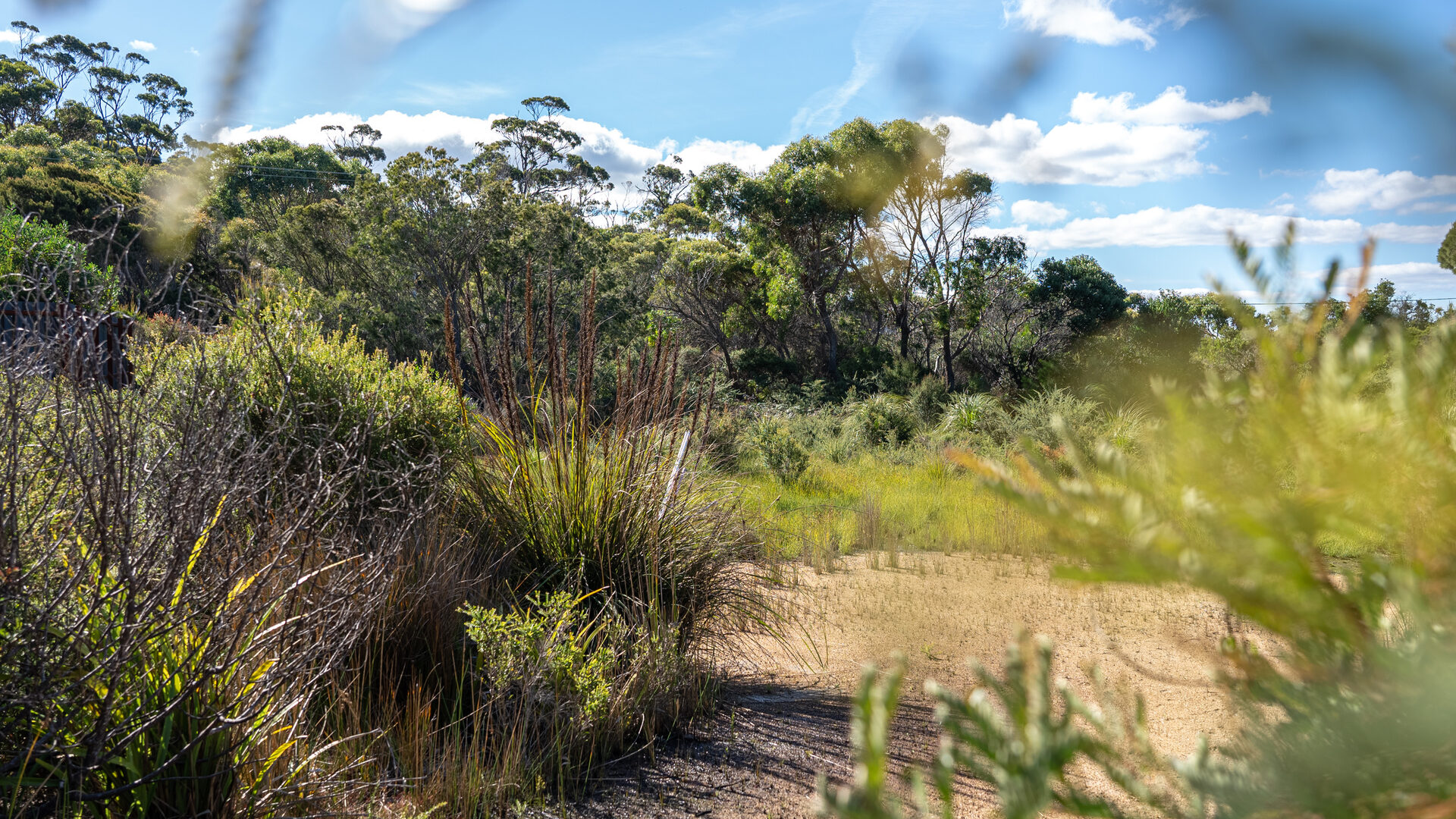 Sold - 3/1 Vince Lane - New Property in Binalong Bay - Real Estate by Josh Hart