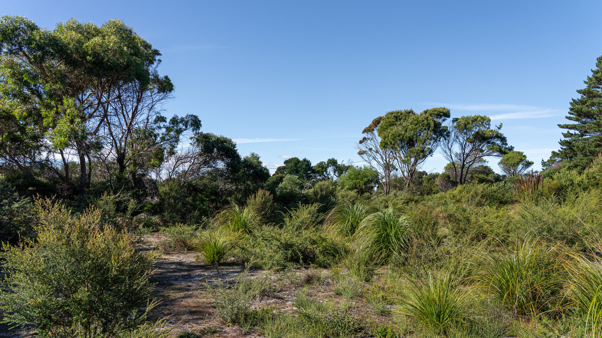 Sold - 3/1 Vince Lane - New Property in Binalong Bay - Real Estate by Josh Hart