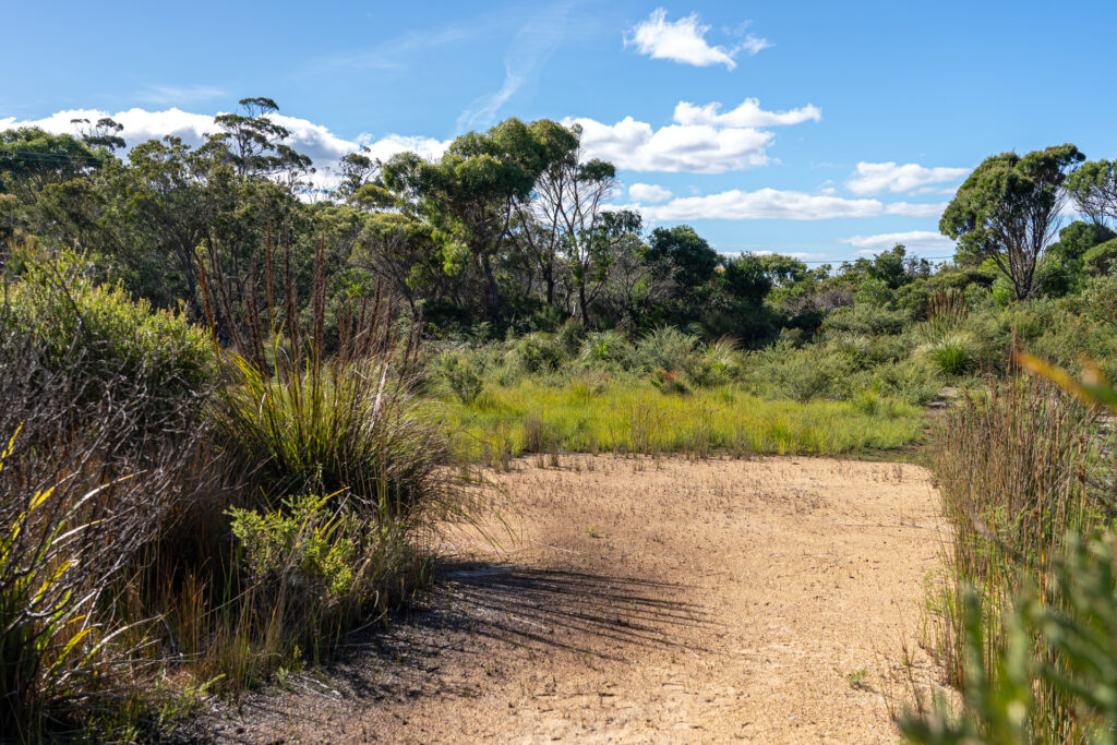 Sold - 3/1 Vince Lane - New Property in Binalong Bay - Real Estate by Josh Hart