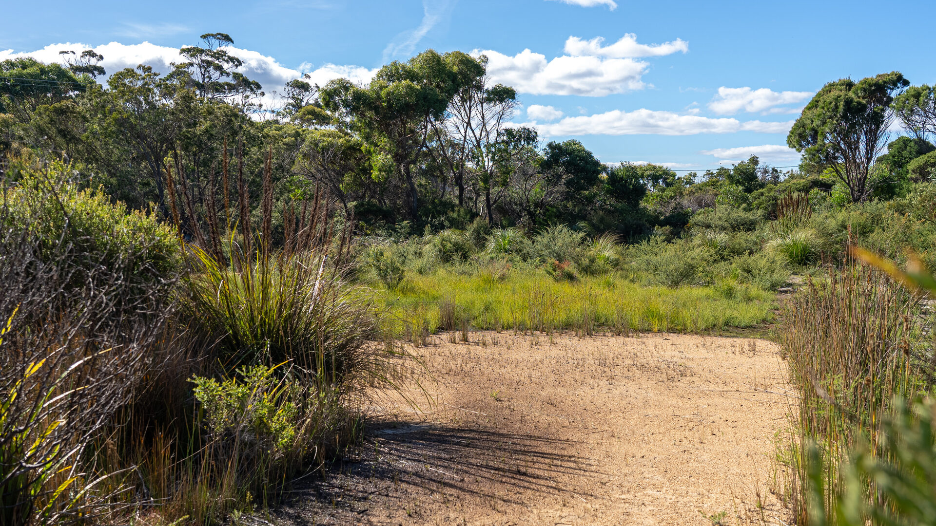 Sold - 3/1 Vince Lane - New Property in Binalong Bay - Real Estate by Josh Hart