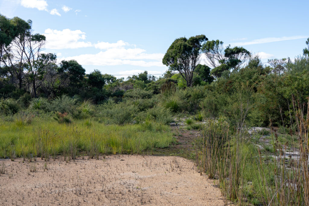 Sold - 3/1 Vince Lane - New Property in Binalong Bay - Real Estate by Josh Hart