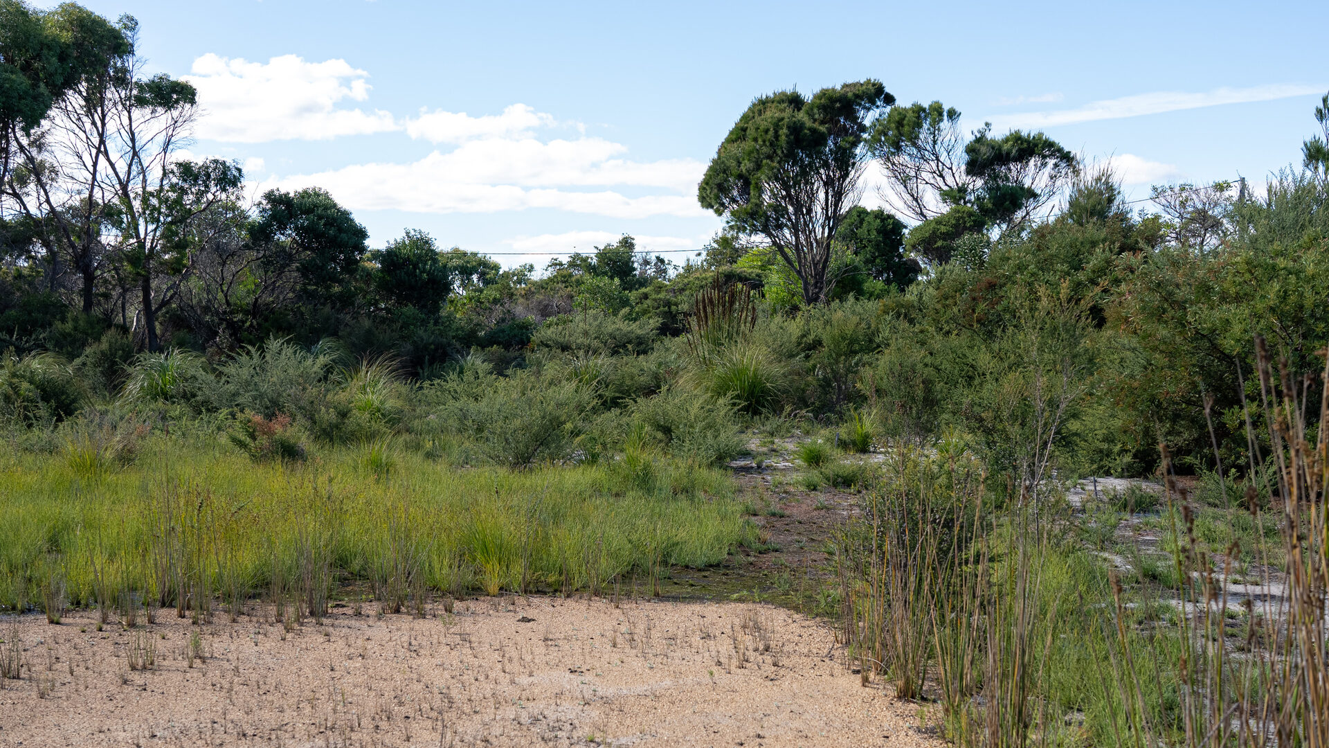 Sold - 3/1 Vince Lane - New Property in Binalong Bay - Real Estate by Josh Hart