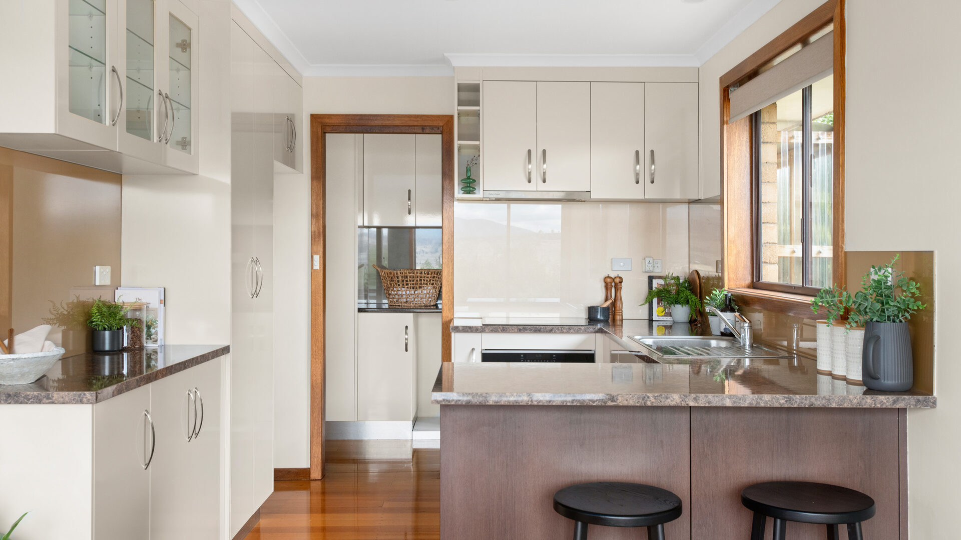 Sold - 31 Kelvin Street - New Property in Youngtown - Real Estate by Josh Hart