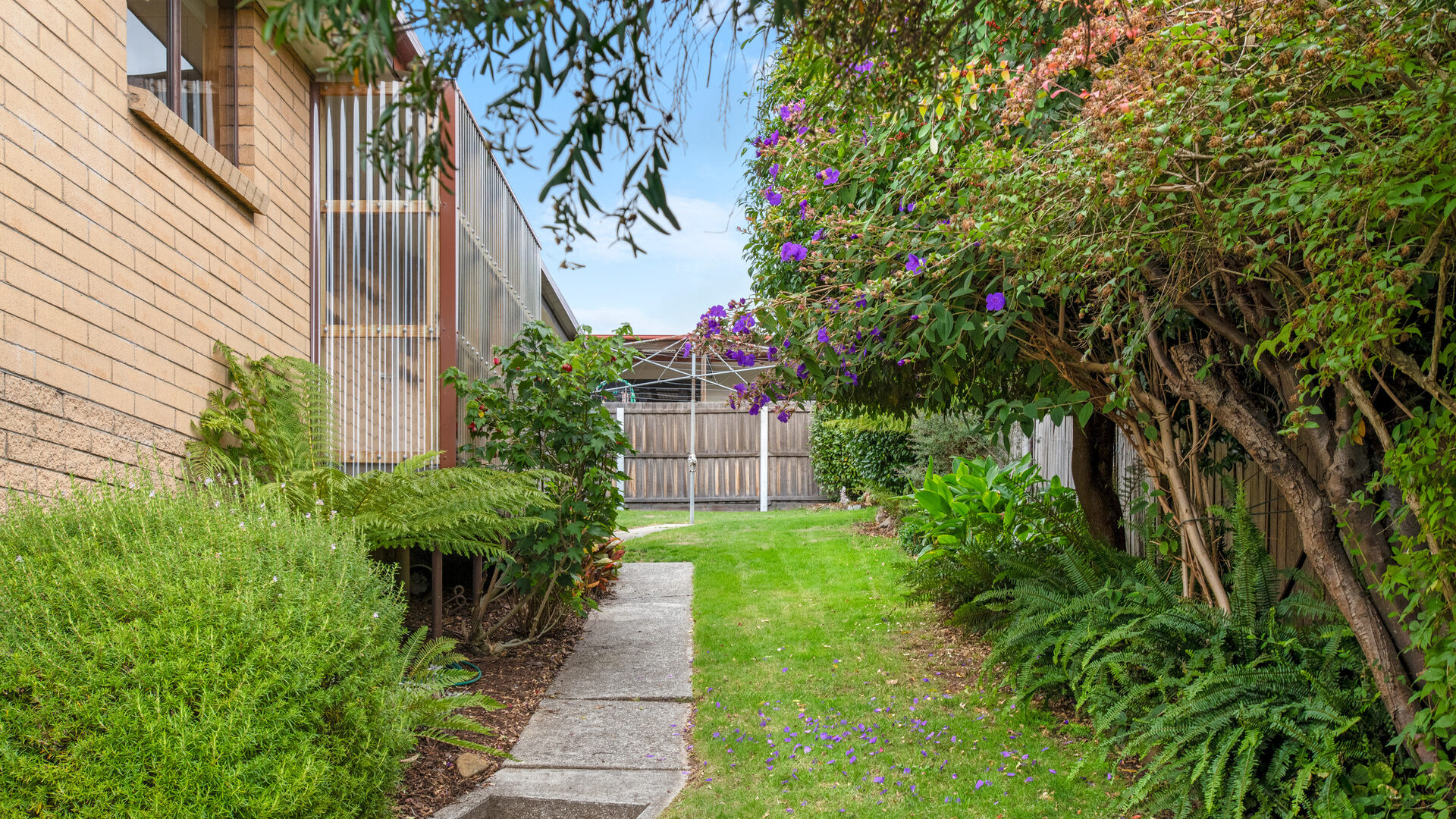Sold - 31 Kelvin Street - New Property in Youngtown - Real Estate by Josh Hart