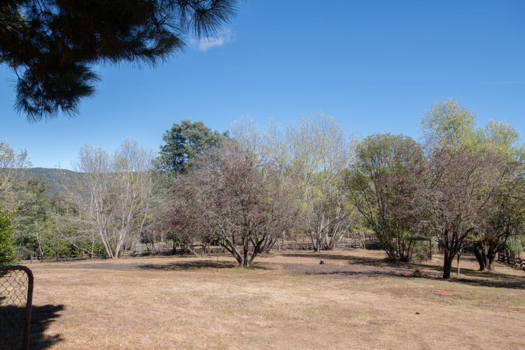 Sold - 420 Bangor Road - New Property in Bangor - Real Estate by McGrath Launceston