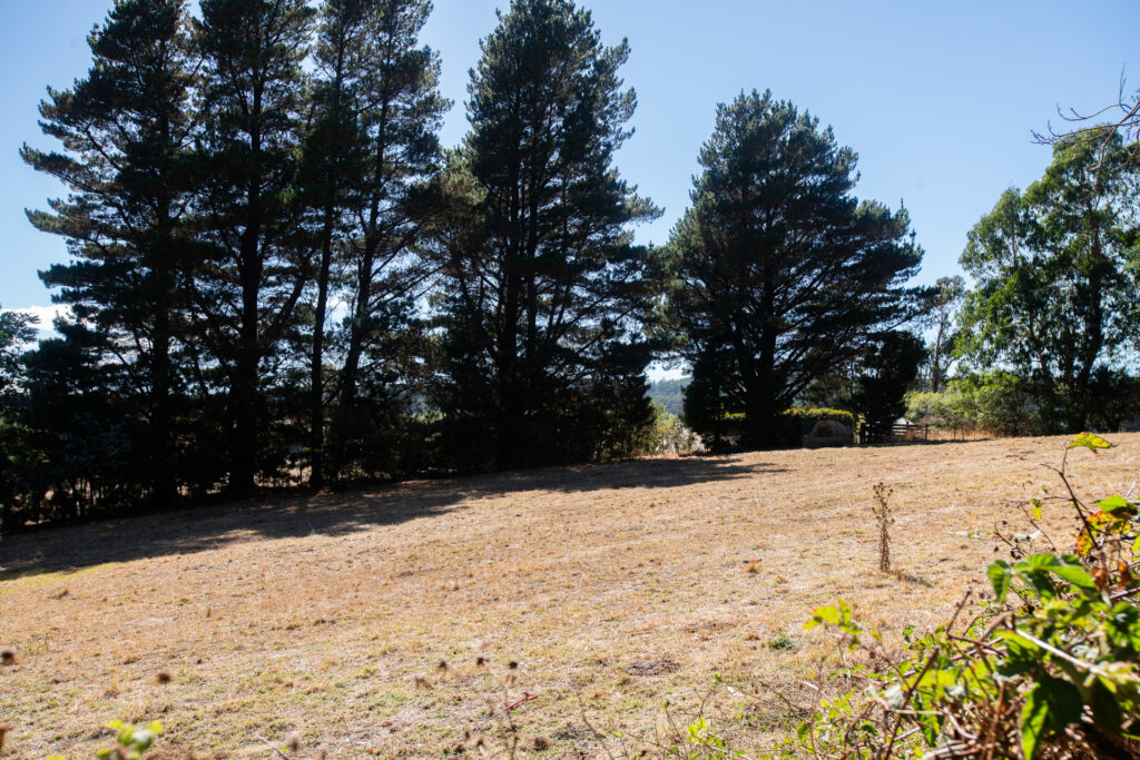 Sold - 420 Bangor Road - New Property in Bangor - Real Estate by McGrath Launceston