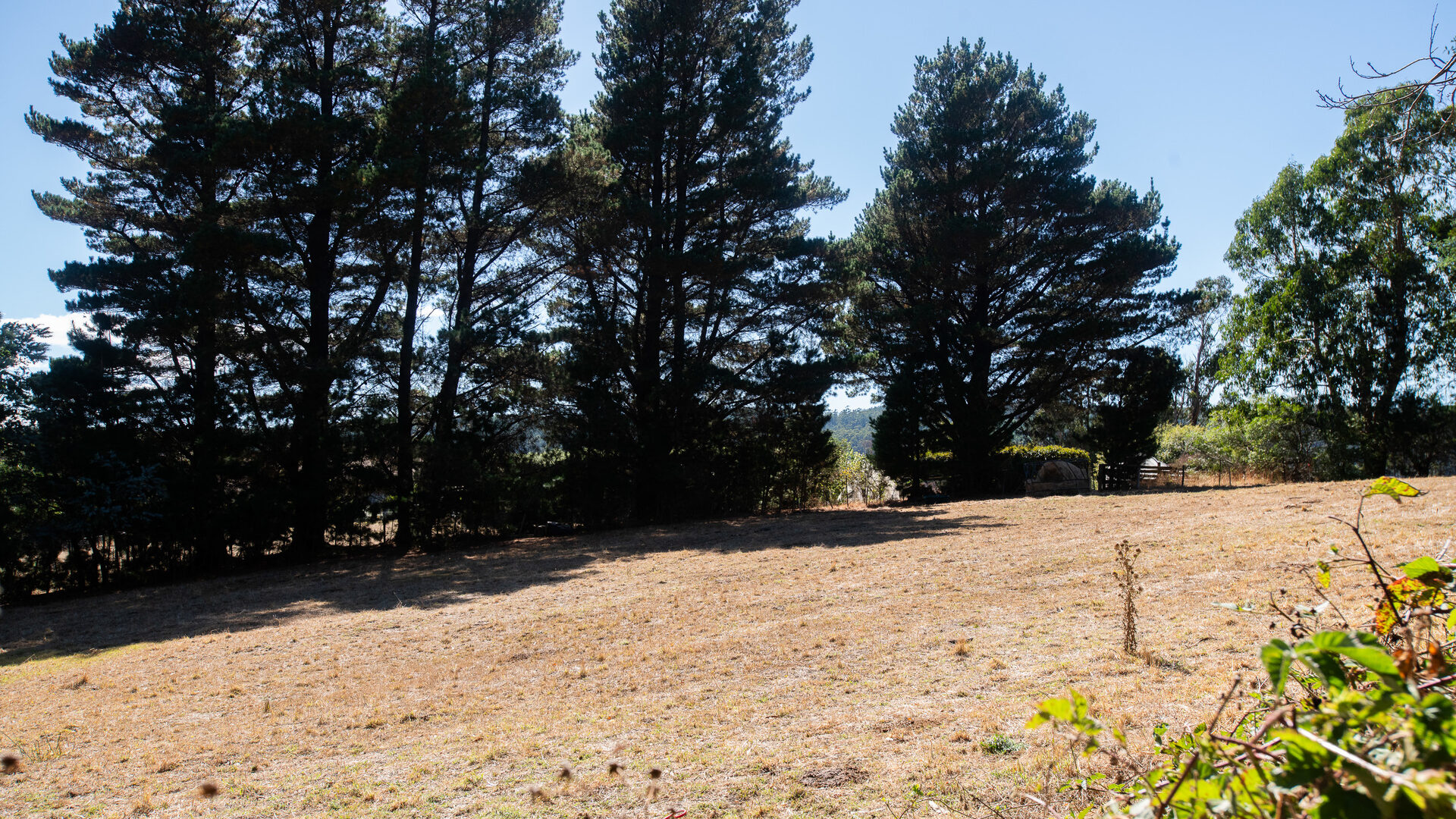 Sold - 420 Bangor Road - New Property in Bangor - Real Estate by McGrath Launceston