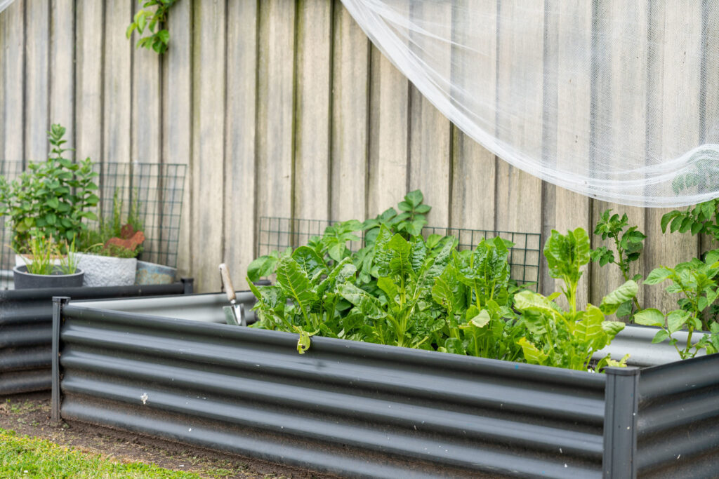 Sold - 6 Mulgrave Street - New Property in Perth - Real Estate by Lee Christmas