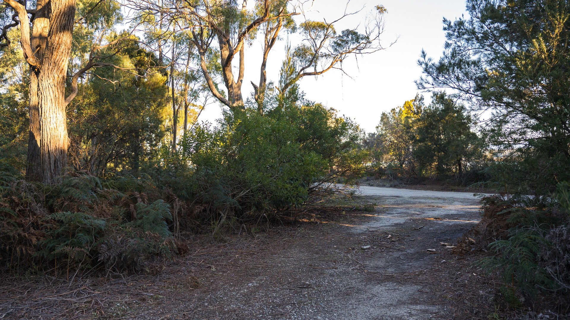 Sold -  Eagle Point Road - New Property in Bakers Beach - Real Estate by Josh Hart