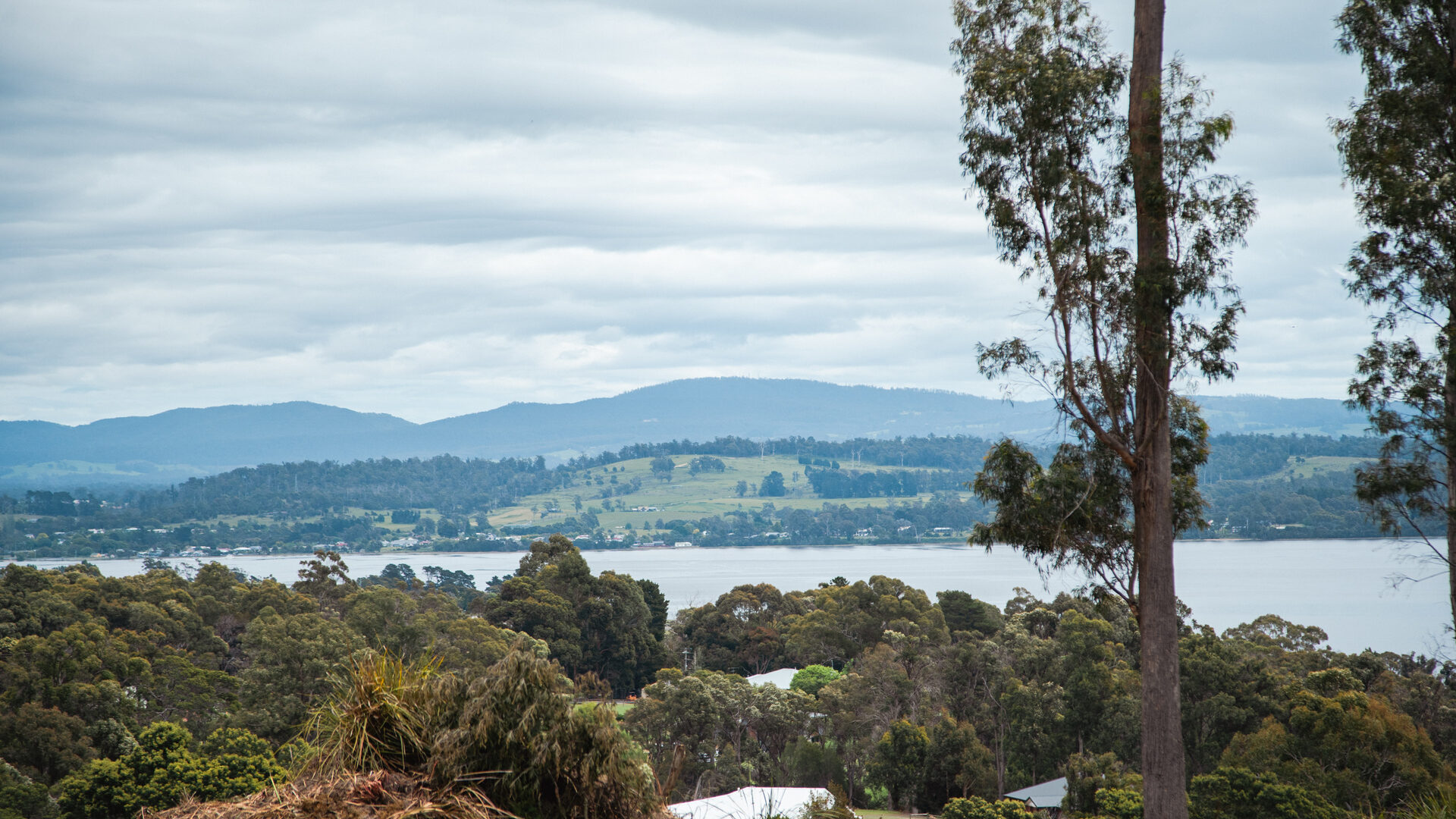 Sold - 8 Ardea Drive - New Property in Swan Bay - Real Estate by Josh Hart