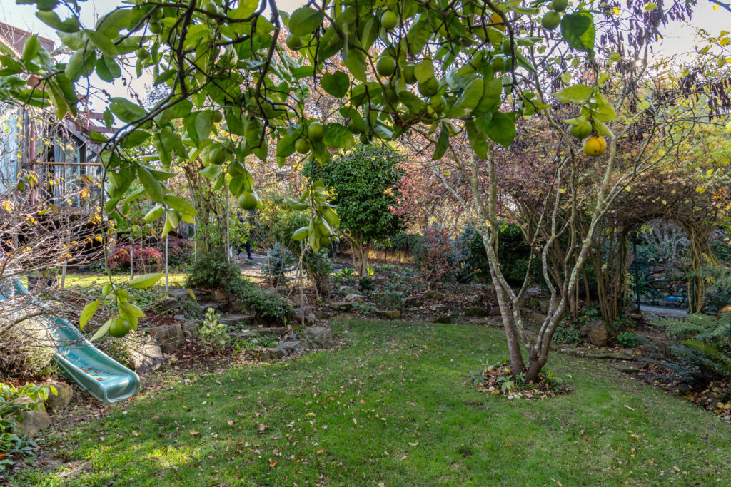 Sold - 33a Bain Terrace - New Property in Trevallyn - Real Estate by Harrison Wagner