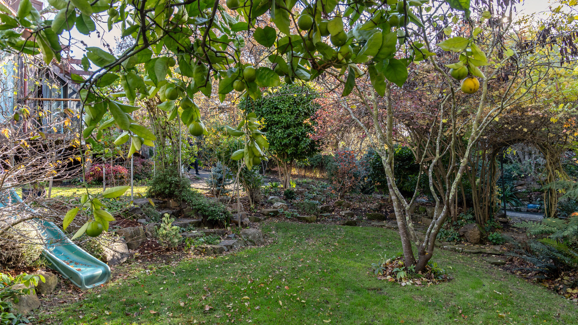 Sold - 33a Bain Terrace - New Property in Trevallyn - Real Estate by Harrison Wagner
