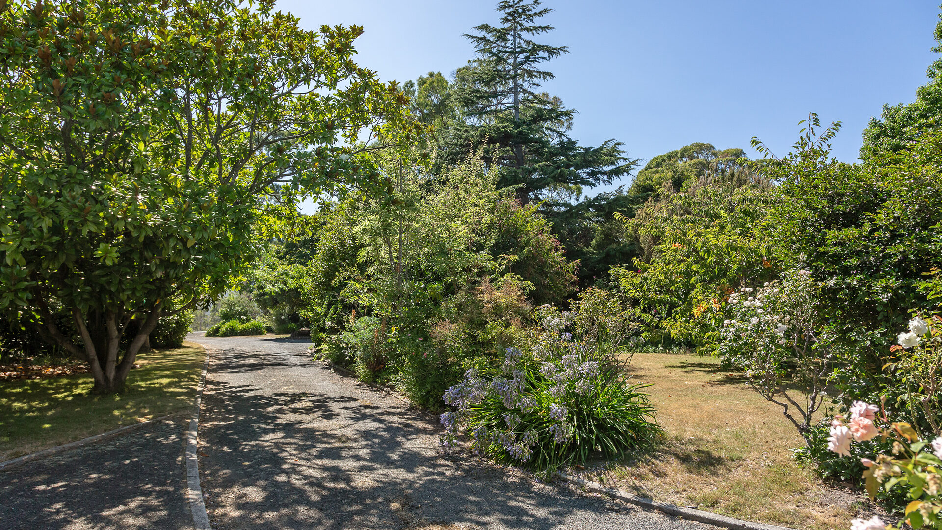 Sold - 289 John Lees Drive - New Property in Dilston - Real Estate by Jessica Hogarth