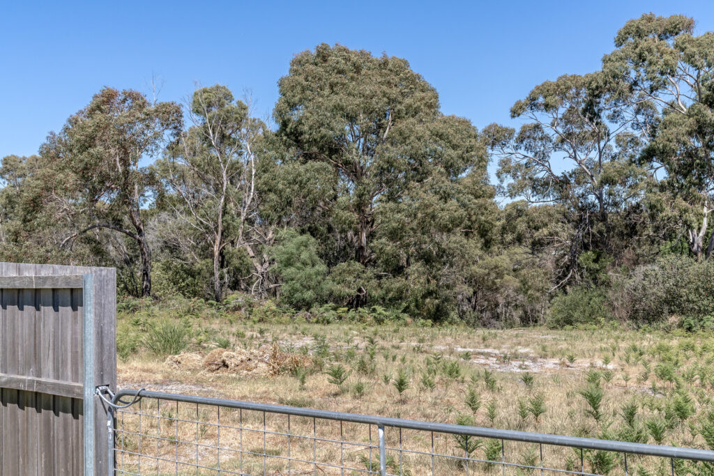 Sold - 3 King Street - New Property in Binalong Bay - Real Estate by Josh Hart