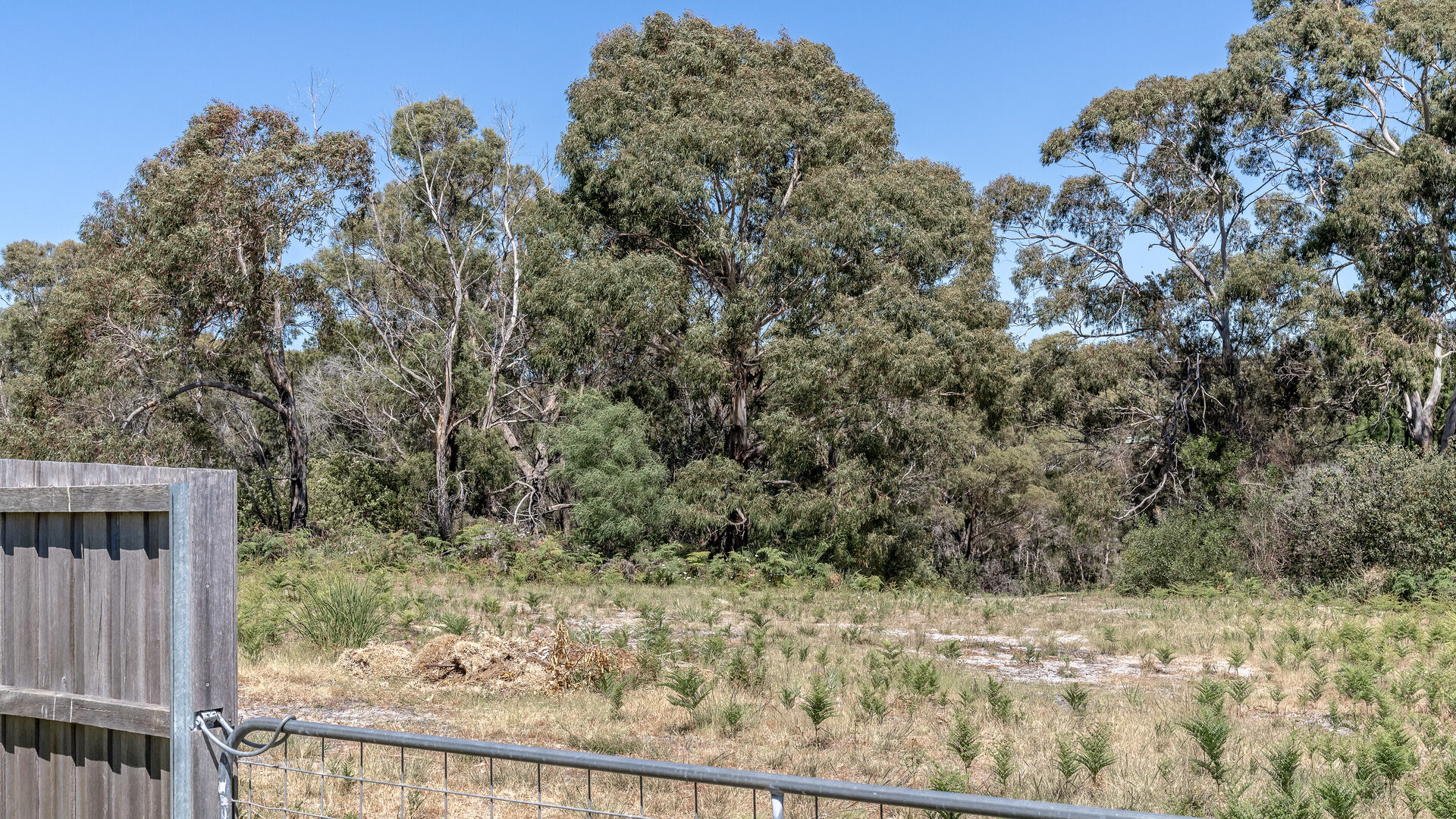 Sold - 3 King Street - New Property in Binalong Bay - Real Estate by Josh Hart