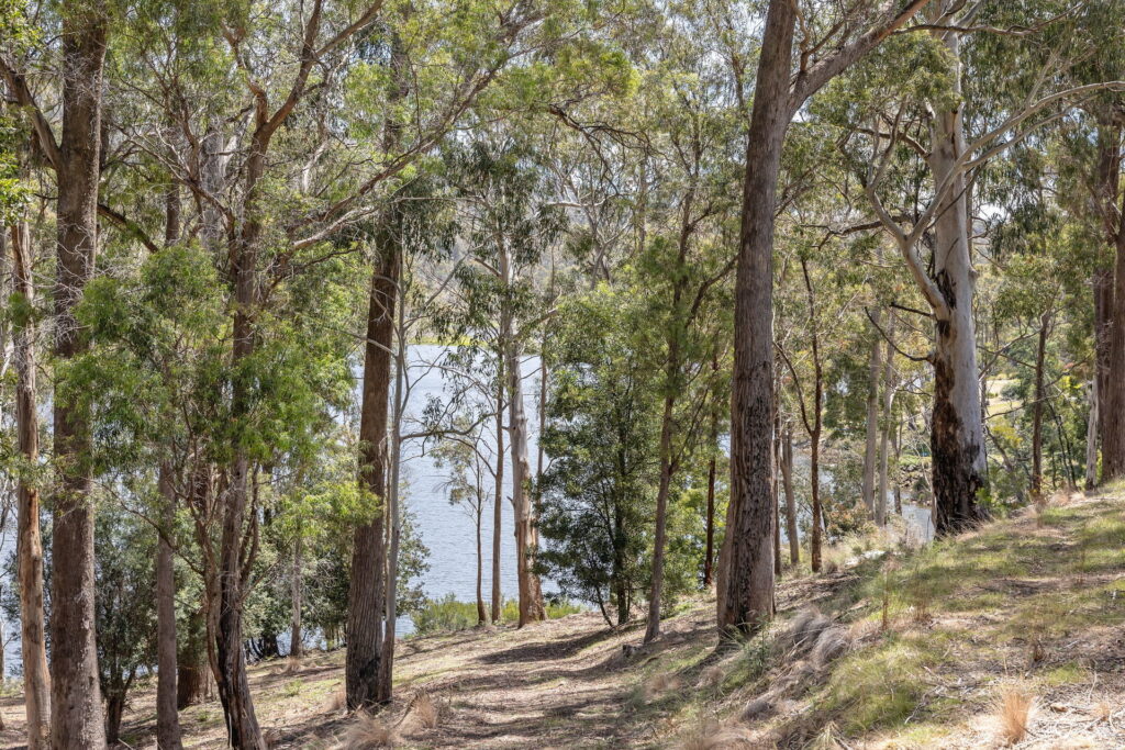 Sold - 176 Blackstone Road - New Property in Blackstone Heights - Real Estate by McGrath Launceston