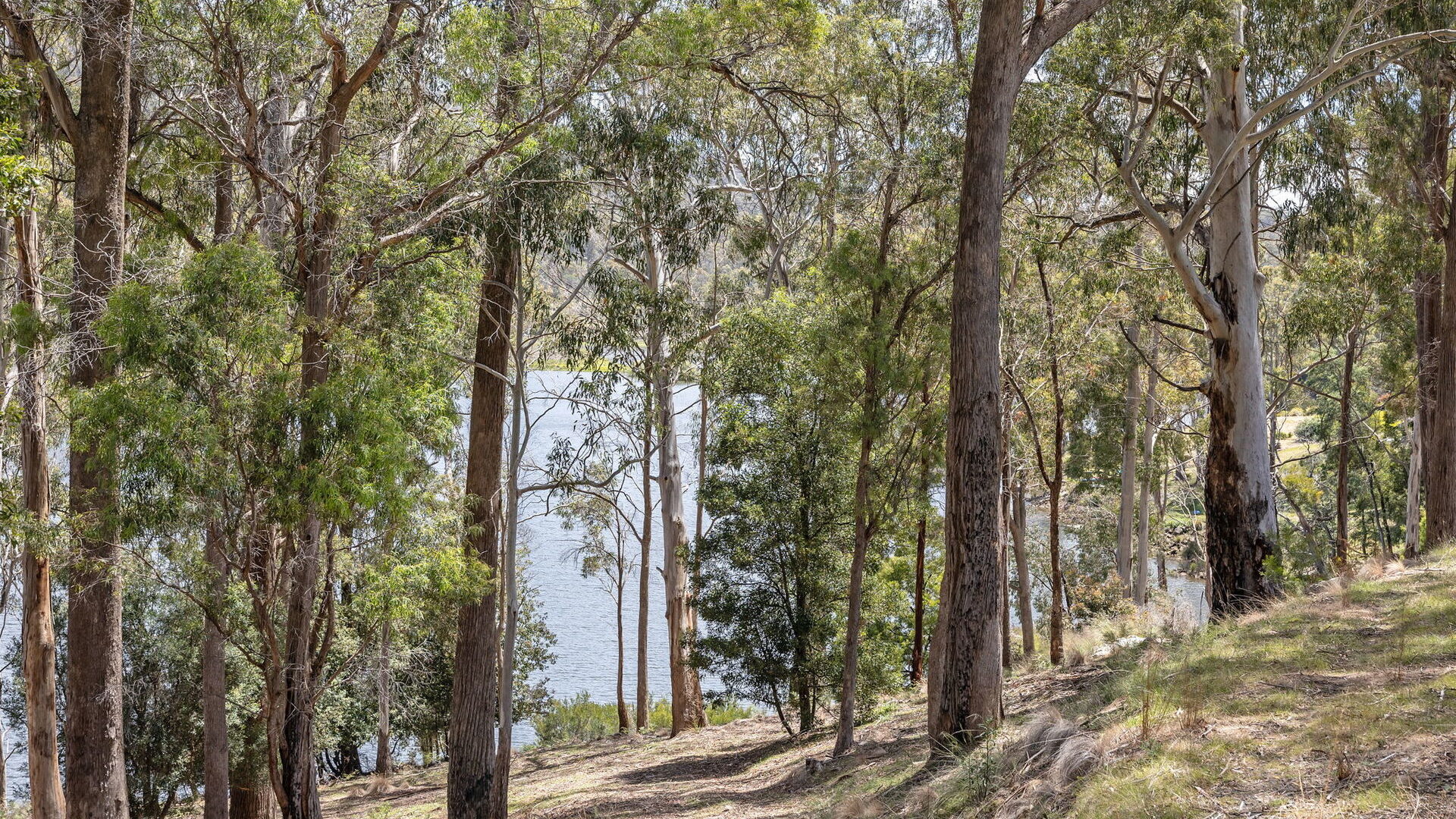 Sold - 176 Blackstone Road - New Property in Blackstone Heights - Real Estate by McGrath Launceston