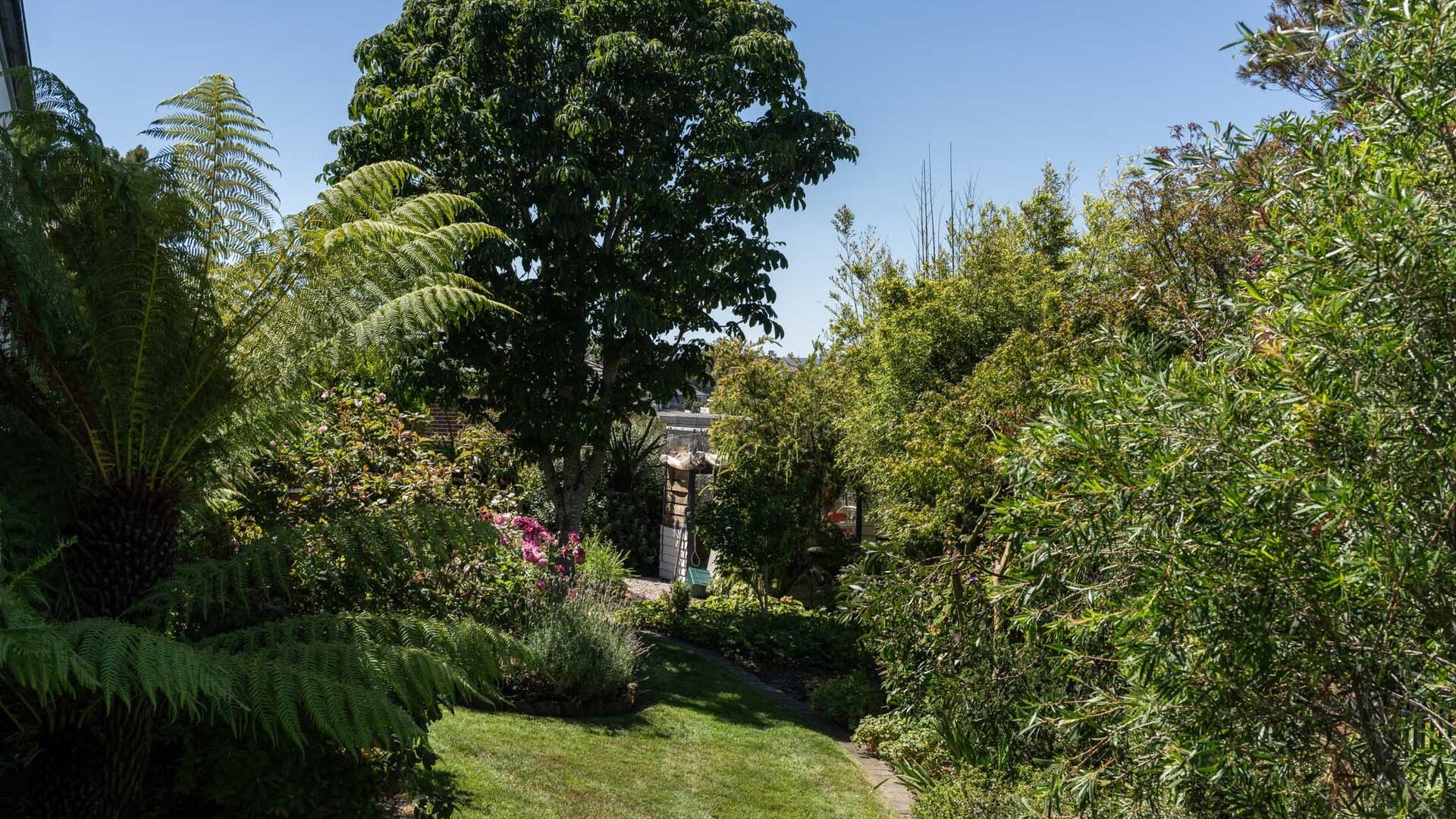 Sold - 29 Mace Street - New Property in Prospect Vale - Real Estate by McGrath Launceston