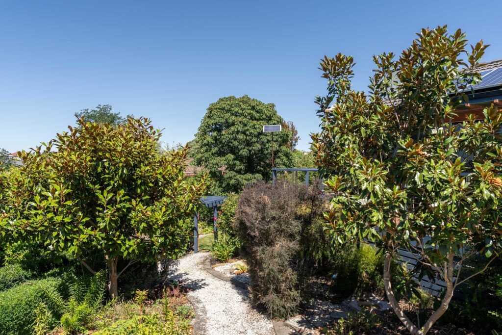 Sold - 29 Mace Street - New Property in Prospect Vale - Real Estate by McGrath Launceston