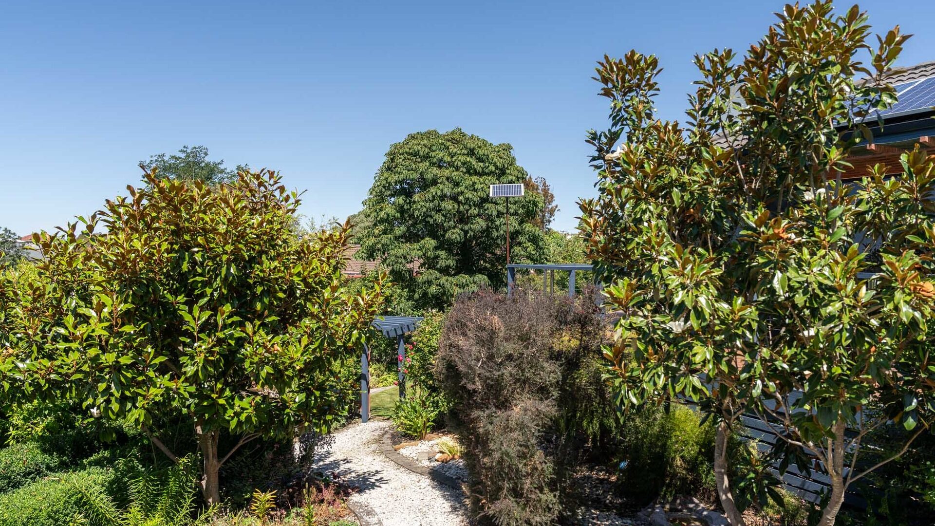 Sold - 29 Mace Street - New Property in Prospect Vale - Real Estate by McGrath Launceston