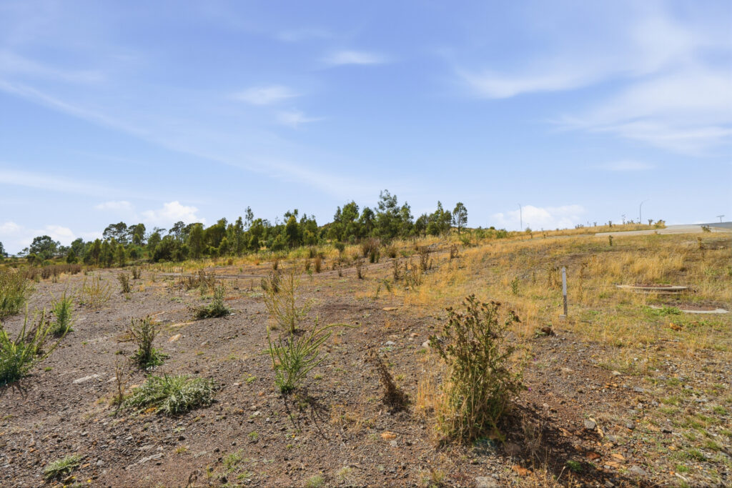For Sale - Lot 123 Apollo Avenue - New Property in Legana - Real Estate by Josh Hart