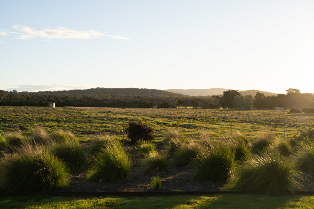For Sale - 1313 Greens Beach Road - New Property in Kelso - Real Estate by Josh Hart