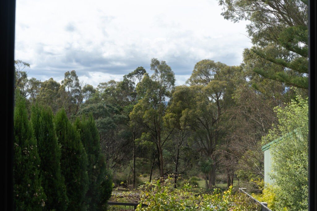 For Sale - 84 Reatta Road - New Property in Trevallyn - Real Estate by Josh Hart